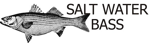Saltwater Bass Designs